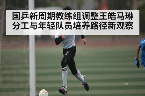 国乒新周期教练组调整王皓马琳分工与年轻队员培养路径新观察