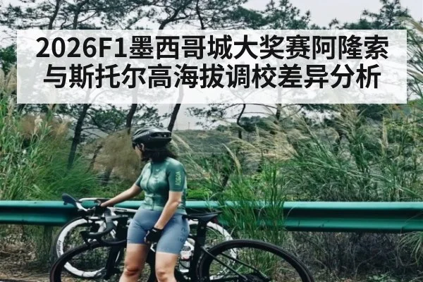 2026F1墨西哥城大奖赛阿隆索与斯托尔高海拔调校差异分析